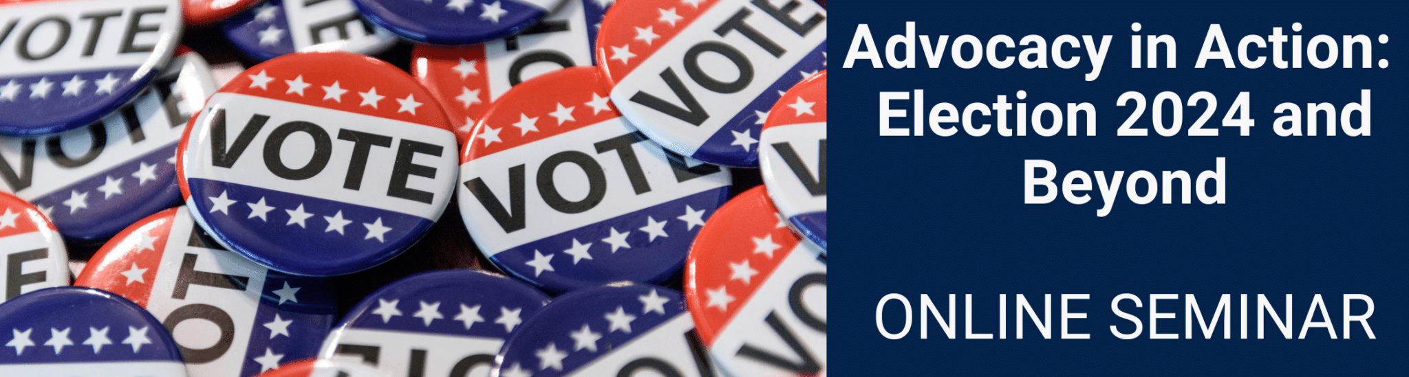 Advocacy in Action: Election 2024 and Beyond @ Online